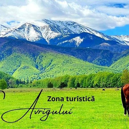 Casa Edu Apartment Авриг Екстериор снимка