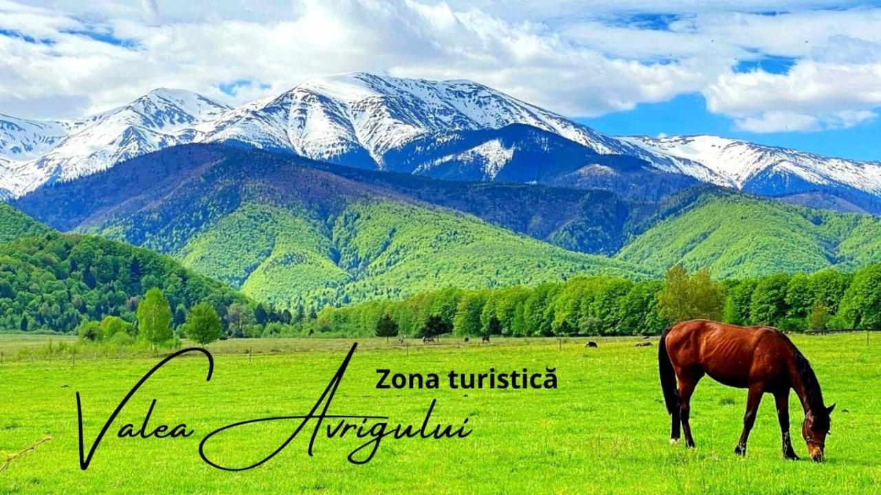 Casa Edu Apartment Авриг Екстериор снимка